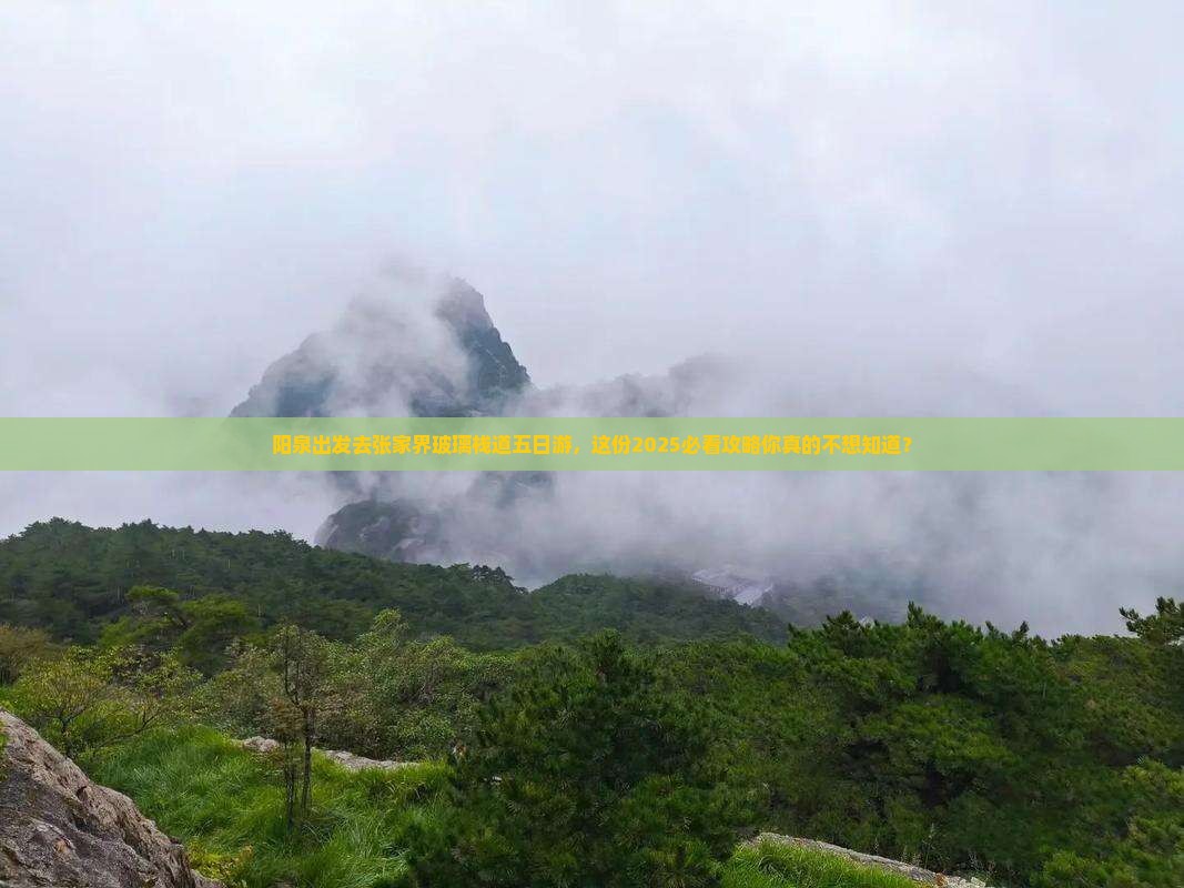 阳泉去张家界玻璃栈道五日游