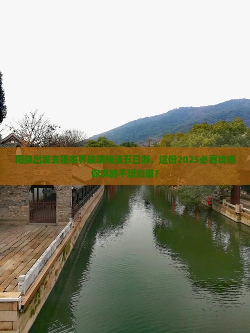 阳泉去张家界玻璃栈道五日游