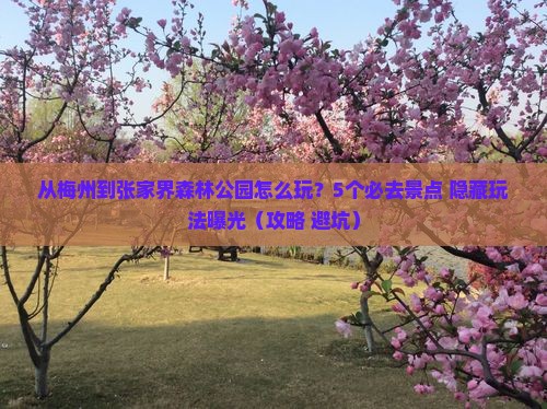 梅州到张家界森林公园哪里玩