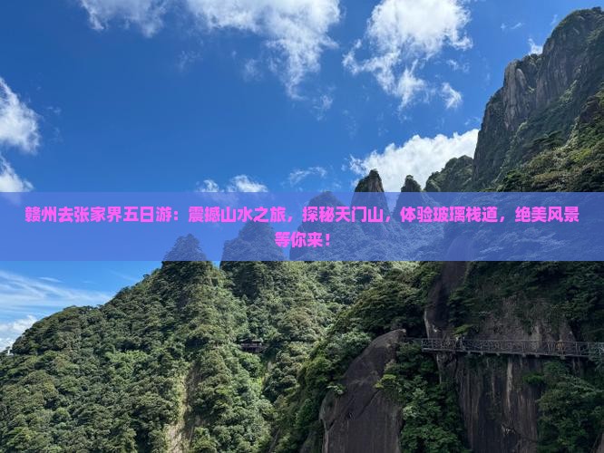 赣州去张家界五日游