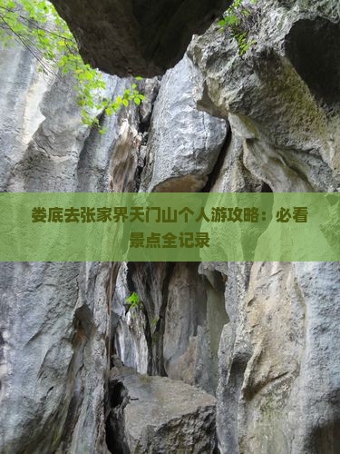 娄底去张家界天门山个人游