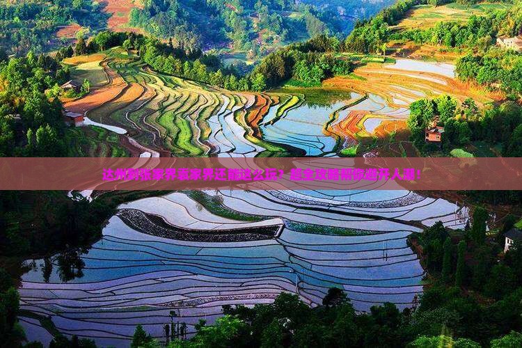 达州到张家界袁家界大型旅游团