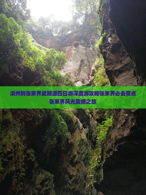 滨州到张家界武陵源四日游