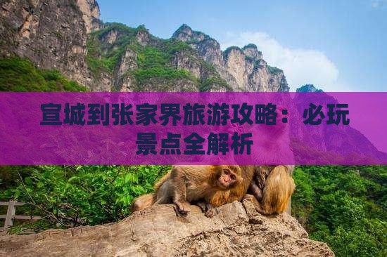 宣城到张家界哪里玩