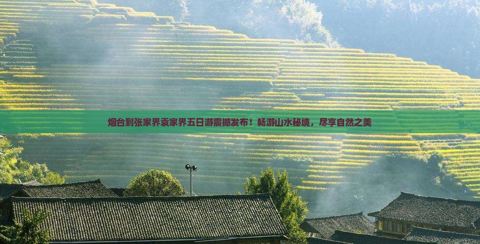 烟台到张家界袁家界五日游