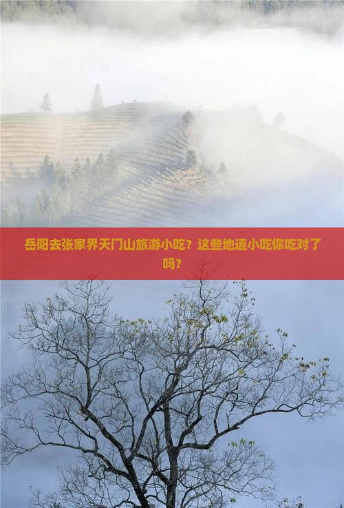 岳阳去张家界天门山旅游小吃