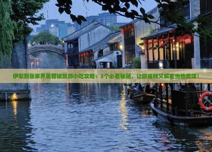 伊犁到张家界芙蓉镇旅游小吃