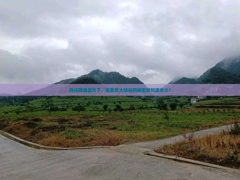 向往那曲蓝天下，张家界大峡谷的秘密我知道多少？