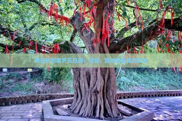 黄石到张家界五日游：预算、路线及自驾游攻略