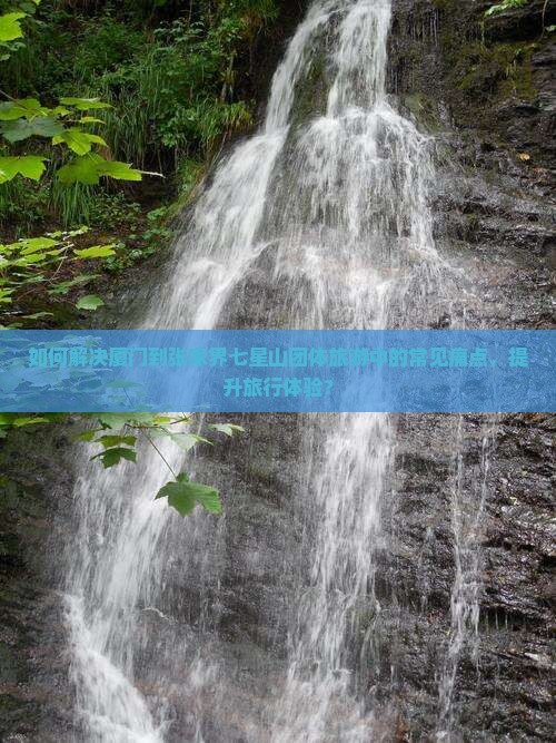 如何解决厦门到张家界七星山团体旅游中的常见痛点，提升旅行体验？