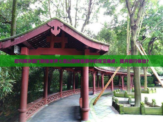 如何解决厦门到张家界七星山团体旅游中的常见痛点，提升旅行体验？