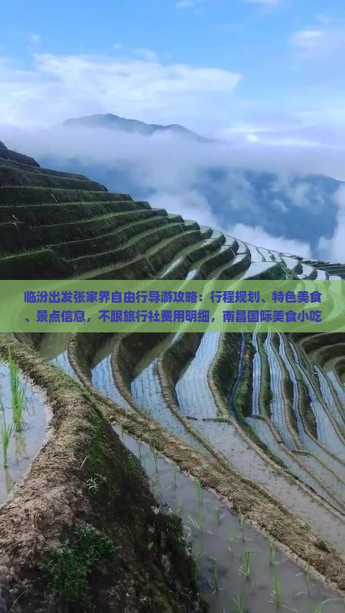临汾出发张家界自由行导游攻略：行程规划、特色美食、景点信息，不跟旅行社费用明细，南昌国际美食小吃推荐