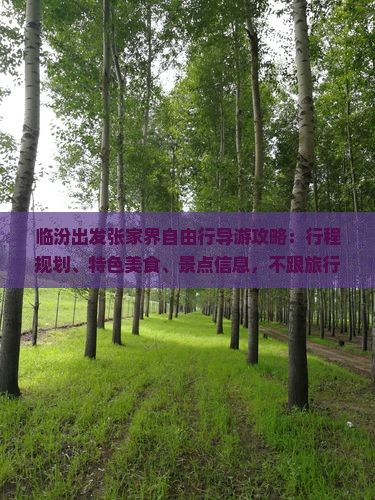 临汾出发张家界自由行导游攻略：行程规划、特色美食、景点信息，不跟旅行社费用明细，南昌国际美食小吃推荐