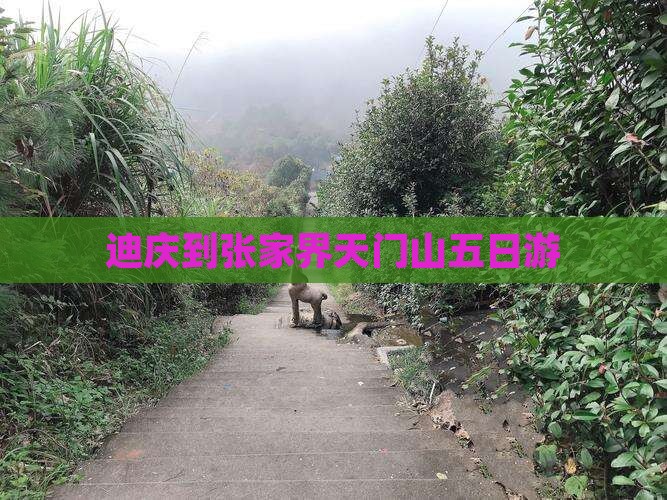 迪庆到张家界天门山五日游
