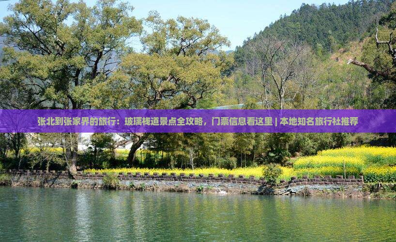 张北到张家界的旅行：玻璃栈道景点全攻略，门票信息看这里 | 本地知名旅行社推荐