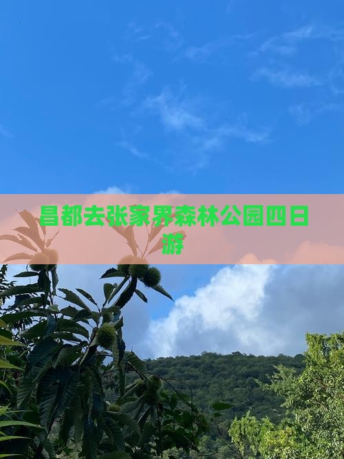 昌都去张家界森林公园四日游