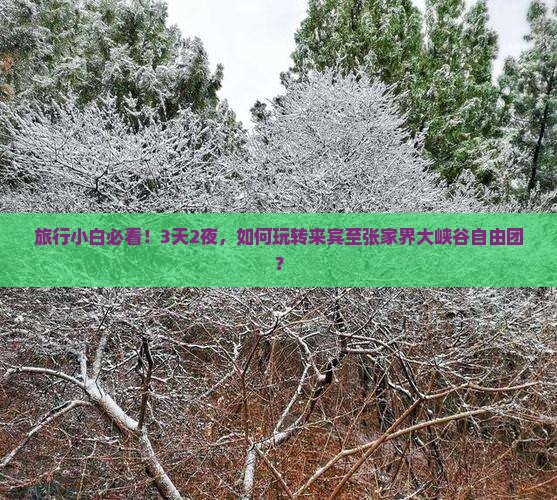 旅行小白必看！3天2夜，如何玩转来宾至张家界大峡谷自由团？