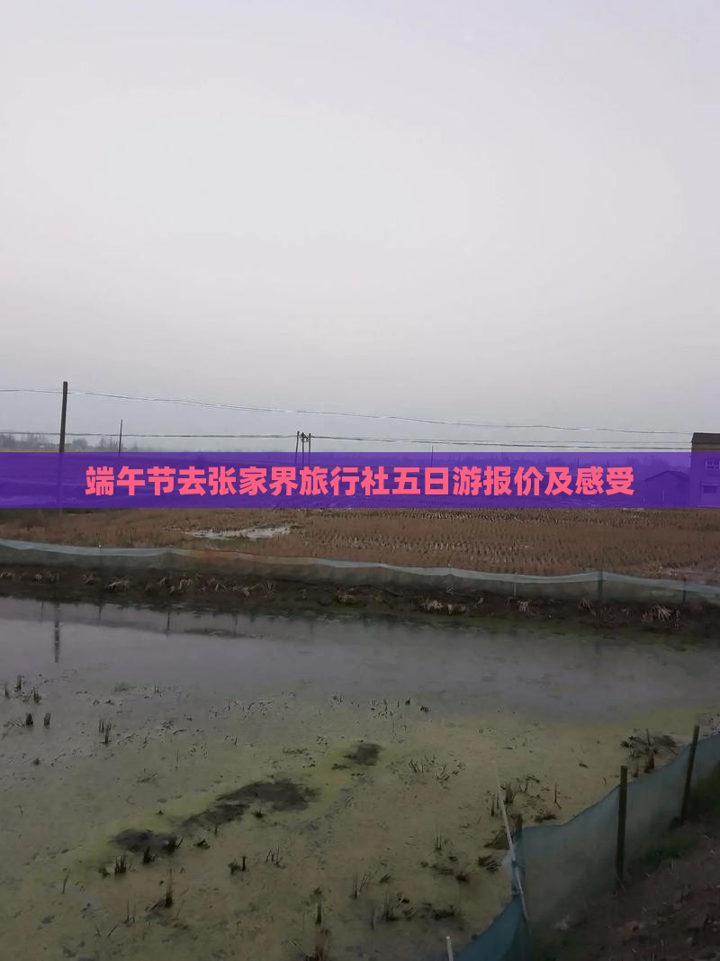 端午节去张家界旅行社五日游报价及感受