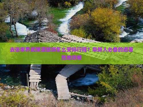 去张家界武陵源旅游怎么安排行程？阜新人必备的避暑胜地攻略