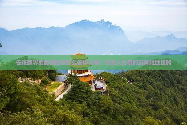 去张家界武陵源旅游怎么安排行程？阜新人必备的避暑胜地攻略