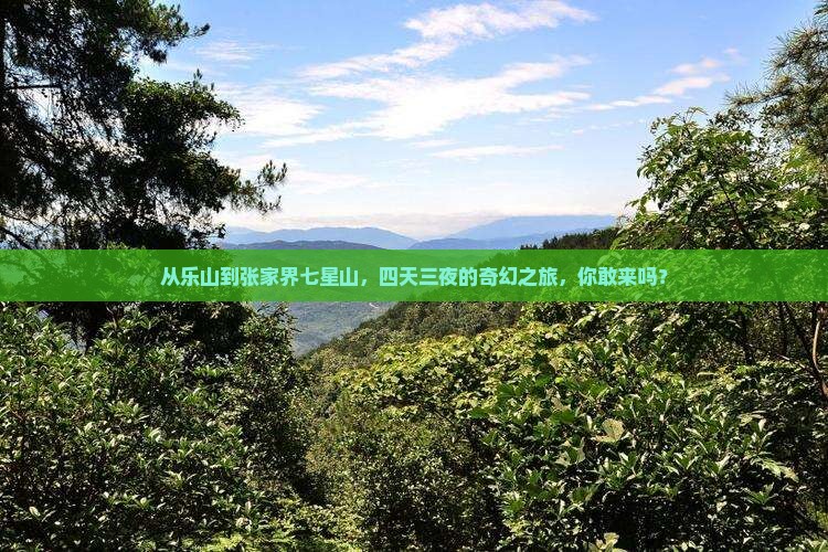 从乐山到张家界七星山，四天三夜的奇幻之旅，你敢来吗？