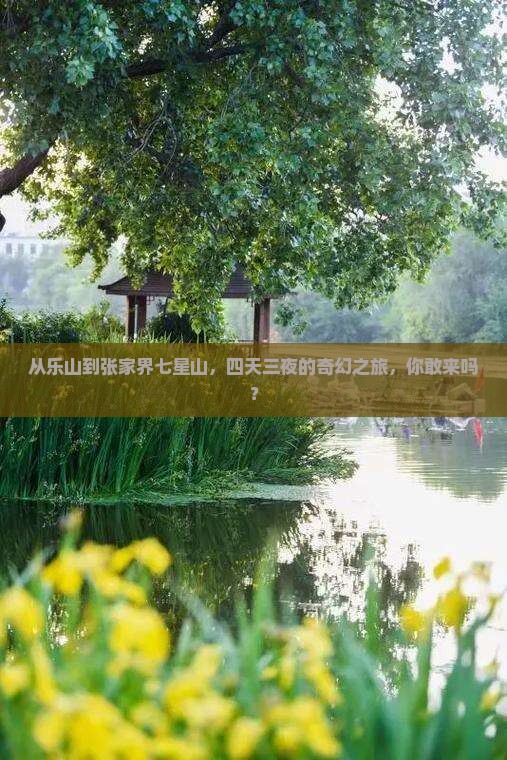 从乐山到张家界七星山，四天三夜的奇幻之旅，你敢来吗？