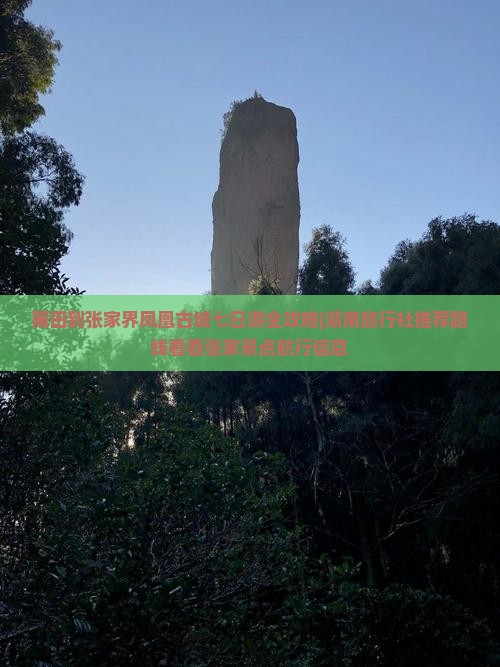 莆田到张家界凤凰古城七日游全攻略|湖南旅行社推荐路线看看张家景点航行信息