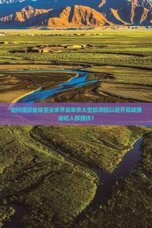 如何组织娄底至张家界袁家界大型旅游团以避开高峰拥堵和人群拥挤？