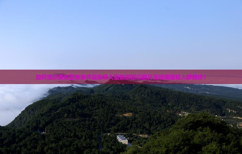 如何组织娄底至张家界袁家界大型旅游团以避开高峰拥堵和人群拥挤？