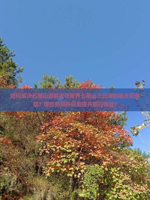 如何解决石嘴山游客去张家界七星山三日游的痛点和难题？哪些新词热词能提升旅行体验？
