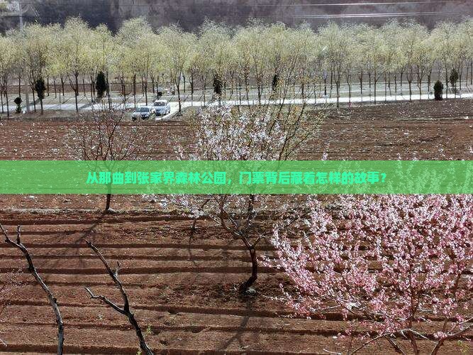 从那曲到张家界森林公园，门票背后藏着怎样的故事？