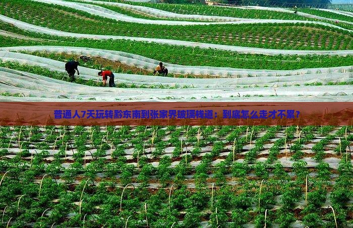 普通人7天玩转黔东南到张家界玻璃栈道：到底怎么走才不累？
