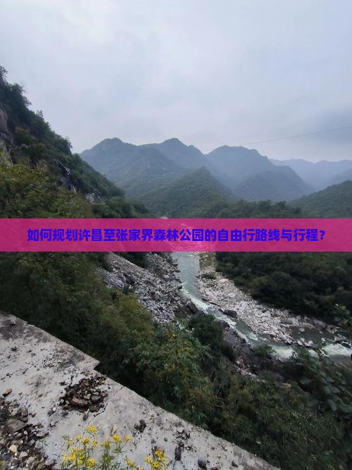 如何规划许昌至张家界森林公园的自由行路线与行程？