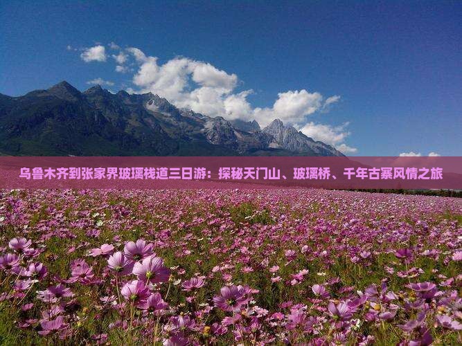 乌鲁木齐到张家界玻璃栈道三日游：探秘天门山、玻璃桥、千年古寨风情之旅