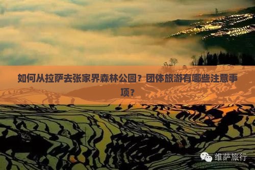 如何从拉萨去张家界森林公园？团体旅游有哪些注意事项？