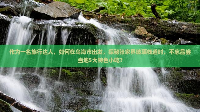 作为一名旅行达人，如何在乌海市出发，探秘张家界玻璃栈道时，不忘品尝当地5大特色小吃？