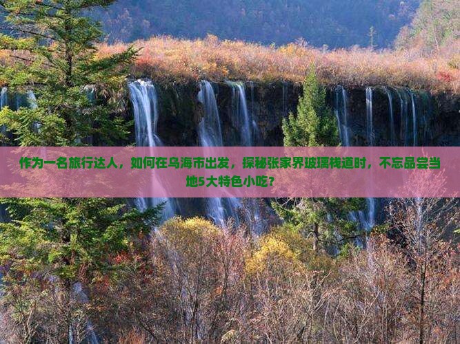 作为一名旅行达人，如何在乌海市出发，探秘张家界玻璃栈道时，不忘品尝当地5大特色小吃？
