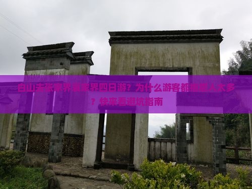 白山去张家界袁家界四日游？为什么游客都抱怨人太多？快来看避坑指南
