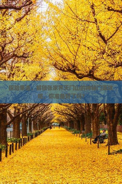 探险果洛，解锁张家界天门山的神秘门票攻略，你准备好了吗？