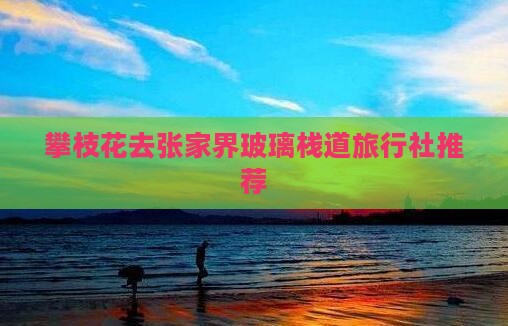 攀枝花去张家界玻璃栈道旅行社推荐
