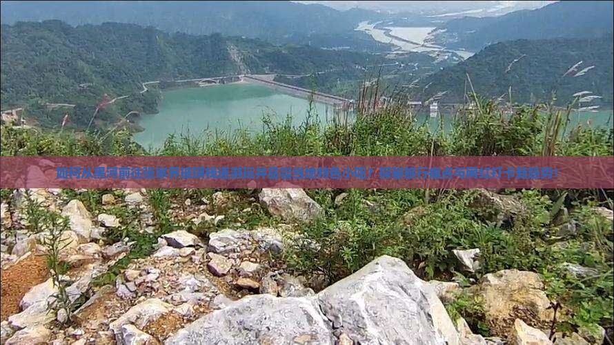 如何从黑河前往张家界玻璃栈道游玩并品尝当地特色小吃？探秘旅行痛点与网红打卡新趋势！