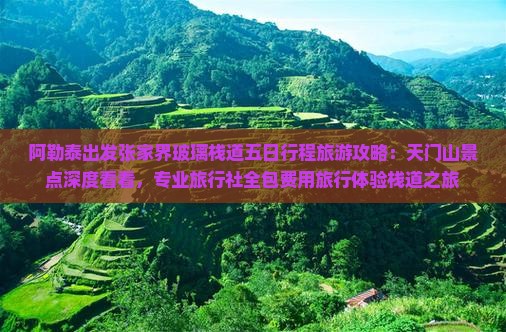 阿勒泰出发张家界玻璃栈道五日行程旅游攻略：天门山景点深度看看，专业旅行社全包费用旅行体验栈道之旅