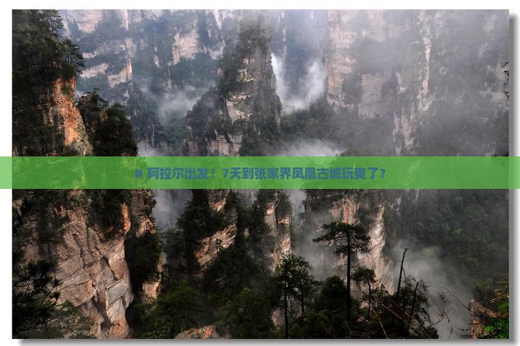# 阿拉尔出发！7天到张家界凤凰古城玩爽了？