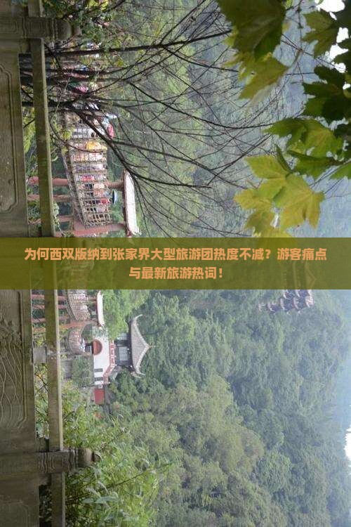 为何西双版纳到张家界大型旅游团热度不减？游客痛点与最新旅游热词！
