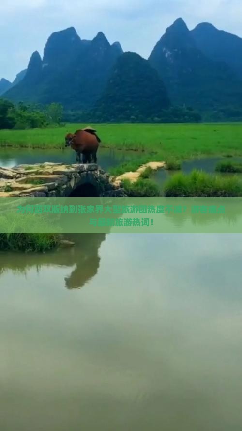 为何西双版纳到张家界大型旅游团热度不减？游客痛点与最新旅游热词！