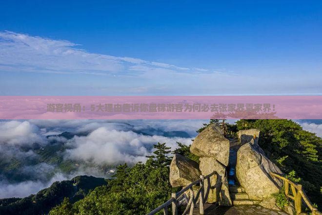 游客视角：5大理由告诉你盘锦游客为何必去张家界袁家界！