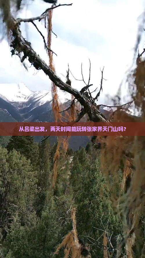 从吕梁出发，两天时间能玩转张家界天门山吗？