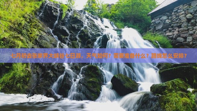 七月初去张家界大峡谷七日游，天气如何？需要准备什么？路线怎么安排？