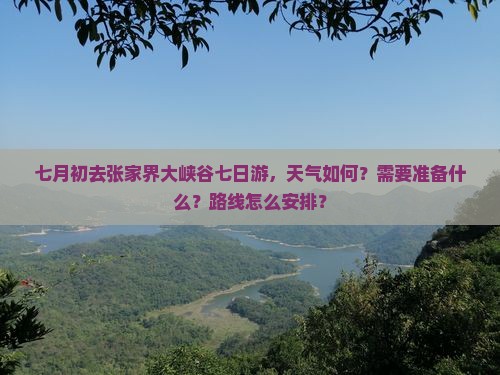 七月初去张家界大峡谷七日游，天气如何？需要准备什么？路线怎么安排？