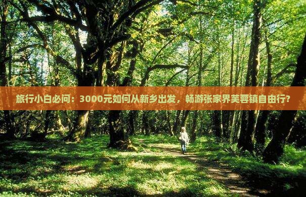 旅行小白必问：3000元如何从新乡出发，畅游张家界芙蓉镇自由行？